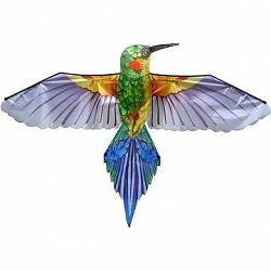 Drak – fialový kolibrík